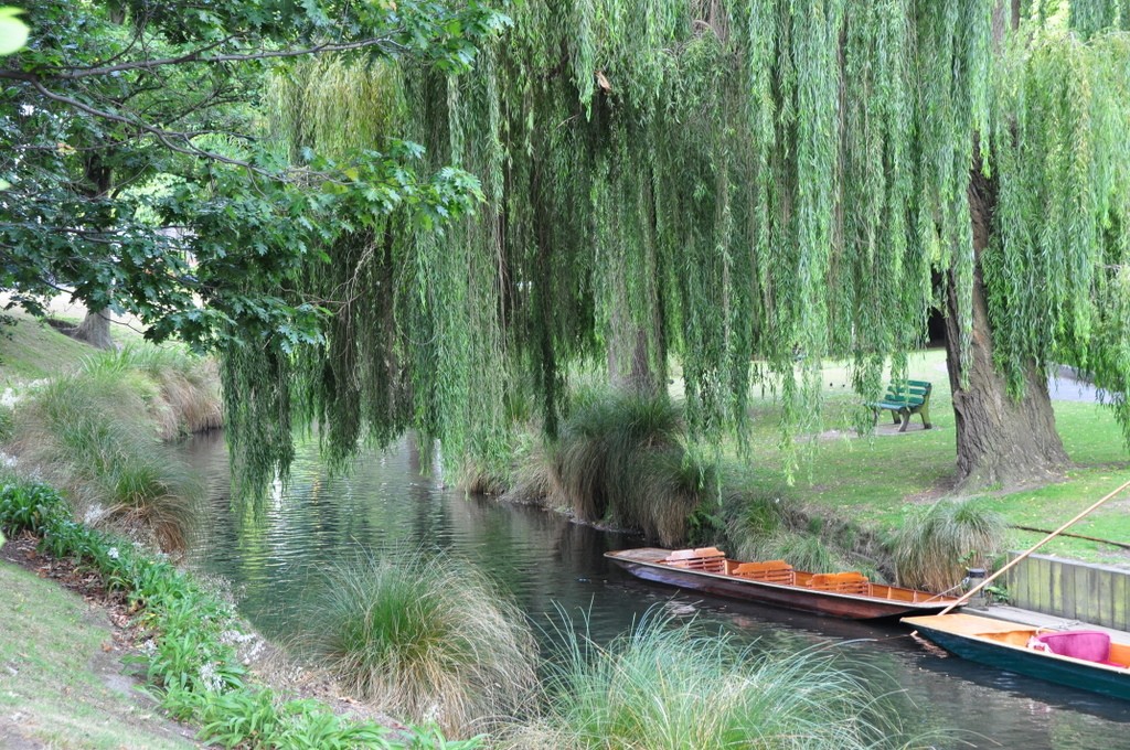 Boats for punting on the Avon River